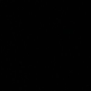 Meet your Posher, Anne